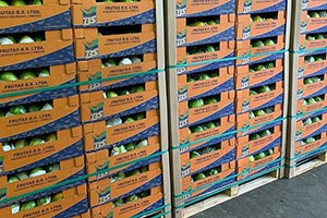 From the fields of Brazil to you