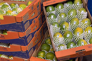 From the fields of Brazil to you